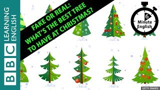 Fake or real: What’s the best tree to have at Christmas? 6 Minute English