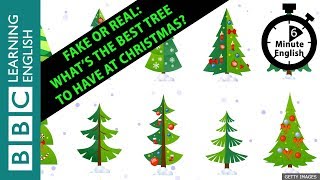 Fake or real: What’s the best tree to have at Christmas? 6 Minute English