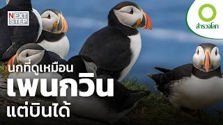 หน้าคล้ายจนสับสน แต่ถิ่นที่อยู่ต่างกันสุดขั้ว | สารคดี สำรวจโลก
