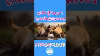 เพลงเด็กลูกหมา versionโกลเด้นรีทรีฟเวอร์ สนุกน่ารักคึกคักๆ