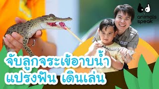 จับลูกจระเข้อาบน้ำ แปรงฟัน เดินเล่น | Animals Speak [by Mahidol Kids]