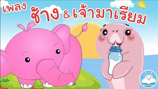 รวมเพลง ช้างๆๆ น้องเคยเห็นช้างหรือเปล่า & เจ้ามาเรียมพะยูนน้อยขี้เซา เพลงเด็กอนุบาล @KidsOnCloud