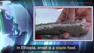 News Words: Staple