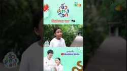 เรื่องลับของมด “มดกัด” ทำไมถึงเจ็บ ?