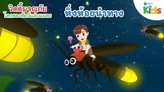 หิ่งห้อยนำทาง | วิดดี้ผจญภัย "โลกของสัตว์และแมลง"