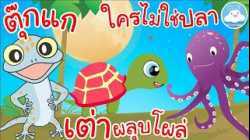 เพลงตุ๊กแกร้องอั๊บแอ่ เพลงใครไม่ใช่ปลา เพลงเต่าผลุบโผล่ เพลงเด็กน้อยวัยอนุบาล @KidsOnCloud 