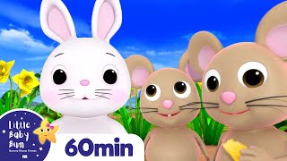 Little Bunny Foo Foo +More Nursery Rhymes and Kids Songs | Little Baby Bum