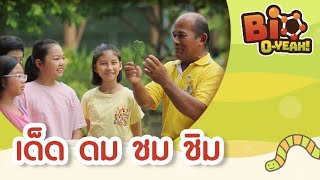 เด็ด ดม ชม ชิม | Bio O-YEAH! [by Mahidol Kids]