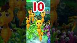 Can You Count Ten Sea Horses? ?#LBB #Short #Educational