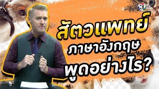 พาหมาไปสัตวแพทย์ ภาษาอังกฤษว่าอย่างไร ?