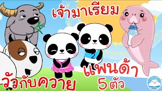 เพลงวัวกับควาย เพลงแพนด้า 5 ตัว เพลงเจ้ามาเรียม เพลงเด็กน้อยวัยอนุบาล @KidsOnCloud 