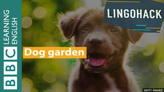 Dog garden: Lingohack