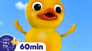 Quack Quack Little Ducks Song + More | Little Baby Bum Kids Songs and Nursery Rhymes