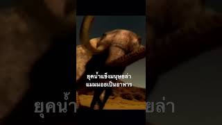 #สำรวจโลก #doxzilla #สารคดี #ยุคน้ำแข็ง