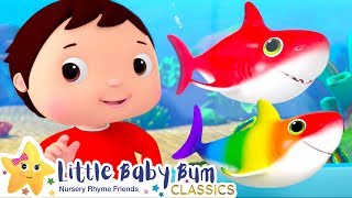 Rainbow Baby Shark Song! +More Nursery Rhymes and Kids Songs - ABCs and 123s | Little Baby Bum