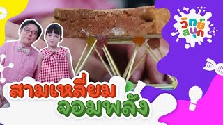 สามเหลี่ยมจอมพลัง | วิทย์สนุก