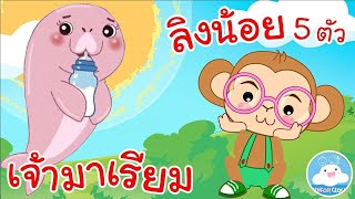 เพลงเจ้ามาเรียม & เพลงลิงน้อย 5 ตัว เพลงเด็กน้อยวัยอนุบาล @KidsOnCloud 
