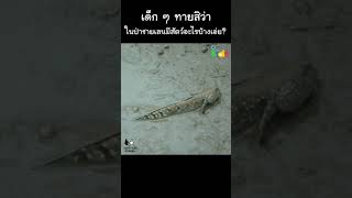 ป่าชายเลนมีสัตว์อะไรบ้าง? #Shorts