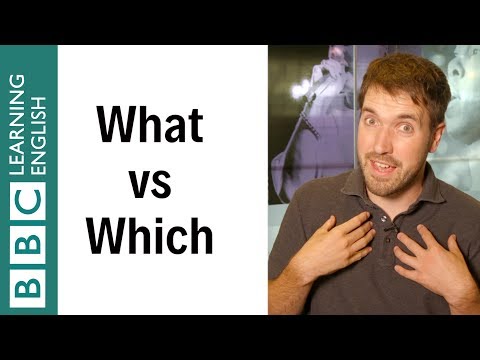 What vs Which : English In A Minute