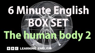 BOX SET: 6 Minute English - 'The human body 2' English mega-class! 30 minutes of new vocab!