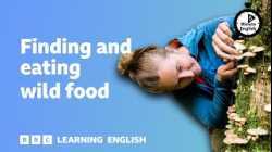 Finding and eating wild food ⏲️ 6 Minute English