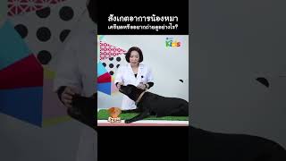 สังเกตอาการน้องหมา "เครียด" หรือ "อยากถ่าย" ? #Shorts