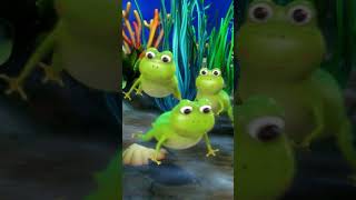 Watch a Frog Grow! ?? Tadpole to Frog! #frog #lifecycles #learning