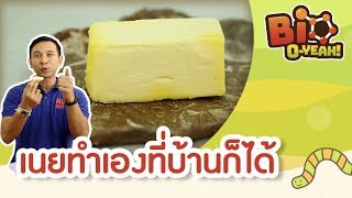 เนยทำเองที่บ้านก็ได้ | Bio O-YEAH! [By Mahidol Kids]