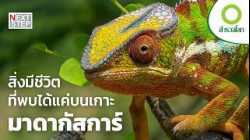มาดากัสการ์ เกาะสวรรค์ของสิ่งมีชีวิตสุดพิลึก | สารคดี สำรวจโลก