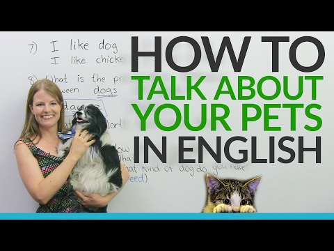 Real English: Talking about pets and animals