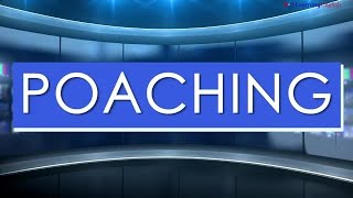 News Words: Poaching