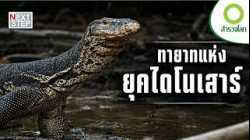เกิดมาเพื่อเอาชีวิตรอด เรื่องจริงของตัวเงินตัวทองเอเชีย | สารคดี สำรวจโลก ตอน ทายาทแห่งยุคไดโนเสาร์