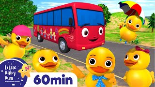 5 Little Ducks On A Bus! + More | Little Baby Bum Kids Songs and Nursery Rhymes