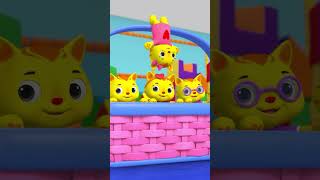 5 Cute Little Kittens? #LBB #CatVideo #kidsAnimal