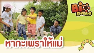 หากะเพราให้แม่ | Bio O-YEAH! [by Mahidol Kids]