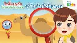 ทำไมฉันถึงมีหนอก | วิดดี้ผจญภัย "โลกของสัตว์และแมลง"