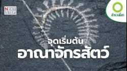 ไขความลับฟอสซิลสู่เส้นทางวิวัฒนาการ | สารคดี สำรวจโลก
