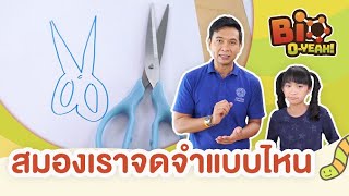สมองเราจดจำแบบไหน | Bio O-YEAH!