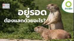 มหากาพย์ของการอยู่รอด การปรับตัว ของสัตว์ป่า และมนุษย์ |  สารคดี สำรวจโลก