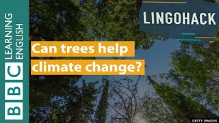 Can trees help climate change? Lingohack
