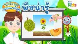 พืชน่ารู้ | วิดดี้ตะลุยเกมมหาสนุก