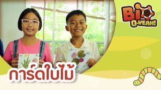 การ์ดใบไม้ | Bio O-YEAH! [by Mahidol Kids]