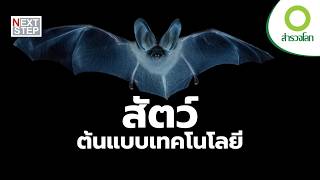 ใครกันแน่คือผู้ประดิษฐ์ตัวจริง มนุษย์หรือธรรมชาติ? | สารคดี สำรวจโลก