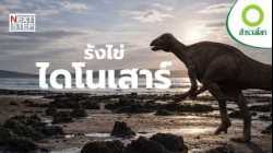 ใครคือเจ้าของไข่ไดโนเสาร์ยักษ์แห่งยุโรป? | สารคดี สำรวจโลก