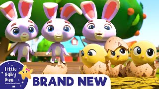 Learn Numbers with Chicks and Bunnies | Brand New | ABCs and 123s | Learn with Little Baby Bum