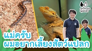 แม่ครับ ผมอยากเลี้ยงสัตว์แปลก | Animals Speak