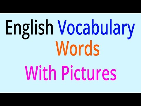 English Vocabulary Words - Learn English Vocabulary With Pictures
