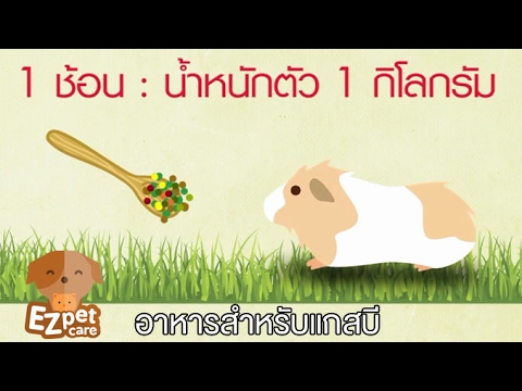 EZ pet care [by Mahidol]  อาหารสำหรับแกสบี