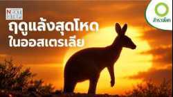 เมื่อแห้งแล้งสัตว์ป่าแห่งออสเตรเลียจะเอาชีวิตรอดอย่างไร? | สารคดี สำรวจโลก ตอน ฤดูแห่งการเอาชีวิตรอด