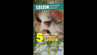 5 Ways to say need a drink #shorts